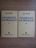 Ion Brad - Romanul de familie ( 2 vol. )