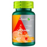 VITAMINA B12 500MCG 90CPR, Adams Vision