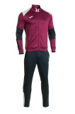 Cumpara ieftin Trening barbati Joma Danubio visiniu, M, XL