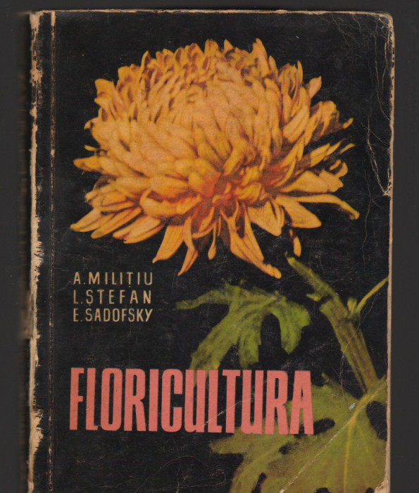 C8792 FLORICULTURA - A. MILITIU, L. STEFAN, E. SADOFSKY