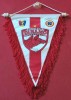 Fanion fotbal - DINAMO BUCURESTI