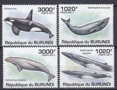 Burundi - FAUNA MARINA - MNH foto