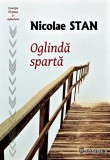 Carte Literatură Rom&acirc;nă: Oglinda Sparța de Nicolae Stan, Editura Junimea, 2022, copertă broșată, stare foarte bună