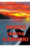 Poteci printre ganduri - Ramona-Alina Mereuta
