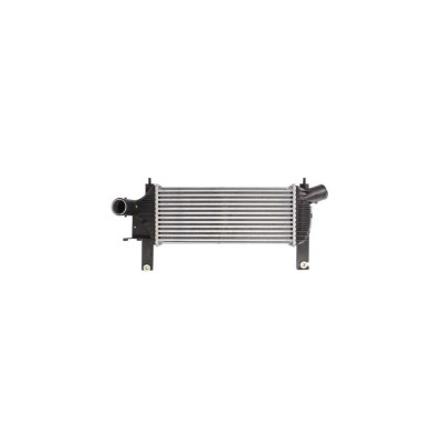 Intercooler NISSAN PATHFINDER III R51 AVA Quality Cooling DN4339 foto