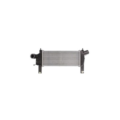 Intercooler NISSAN NAVA Quality CoolingRA D40 AVA Quality Cooling DN4339 foto