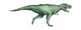 Cumpara ieftin Sticker decorativ Dinozaur, Verde, 85 cm, 3929ST, Oem