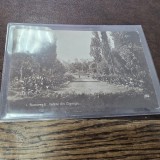 Carte Bucuresti Vedere din Cismigiu, 1929