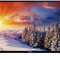 Televizor Finlux Led Smart 49FFC5520, Full HD, Wifi, Netflix, 124 cm