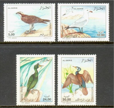 ALGERIA 1998 FAUNA PASARI foto