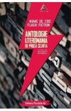 Nume de cod: Flash fiction. Antologie literomania de proza scurta - Adina Dinitoiu, Raul Popescu