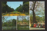 CPIB 18638 CARTE POSTALA - BUCURESTI. GRADINA CISMIGIU, NECIRCULATA
