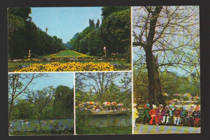 CPIB 18638 CARTE POSTALA - BUCURESTI. GRADINA CISMIGIU, NECIRCULATA
