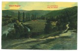 384 - BOCSA MONTANA, Caras-Severin, Romania - old postcard - unused, Necirculata, Printata