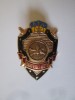 Ucraina insigna infanterie Datorie si Onoare armata ucraineana