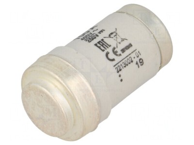 Siguranță ceramică gG 100A 400VAC 250VDC D03 D0 foto