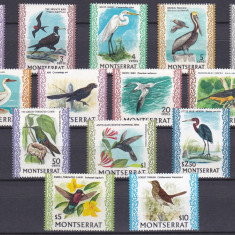 DB1 Fauna 1970 - 74 Pasari Montserrat 14 v. MNH
