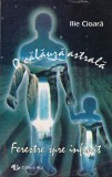 Ilie Cioara - O calauza astrala. Ferestre spre infinit