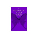 A Bernadette Mayer Reader