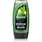 Radox Men Feel Strong gel de dus pentru față, corp și păr Mint &amp; Tea Tree 225 ml