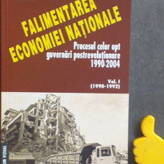 Falimentarea economiei nationale Vasile Stan