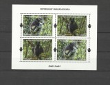 MADAGASCAR 2024 FAUNA ANIMALE SALBATICE LEMURIENI