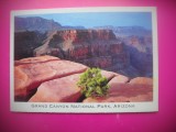 HOPCT 8258 PARCUL NATIONAL MARELE CANION ARIZONA -SUA-AMERICA DE NORD -NECIRCULATA-