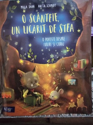 O scanteie, un licarit de stea. O poveste despre iubire si curaj - Milla Shan foto