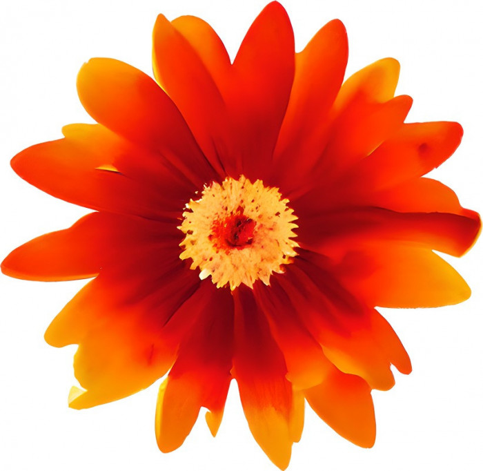 Sticker decorativ, Floare, Portocaliu, 61 cm, 8970ST
