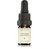 Smells Like Spells Essential Oil Lavender ulei esențial 5 ml