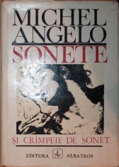 SONETE SI CRAMPEIE DE SONET foto