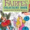 Fairies Colouring Book