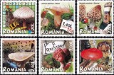 Ciuperci 2008 LP 1792