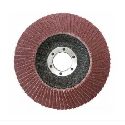 Disc lamelar pentru slefuit, granulatie P80, 125 x 22.2 mm foto