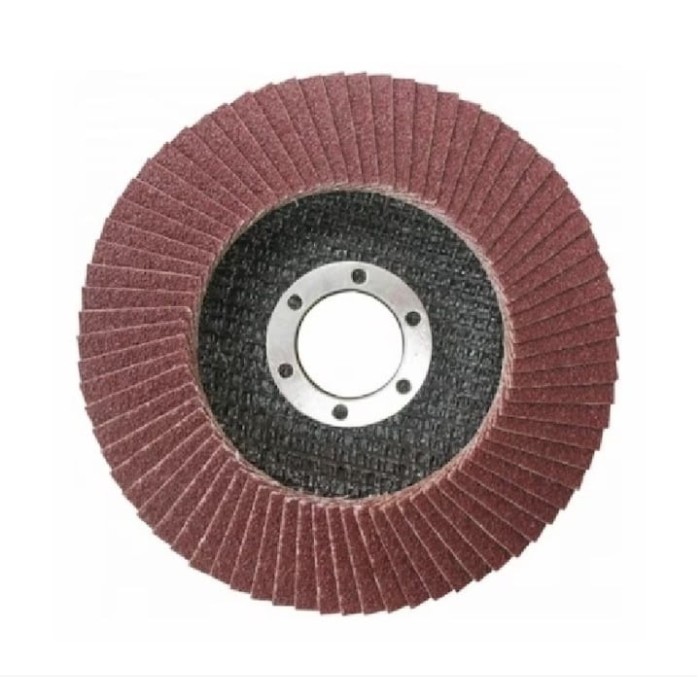 Disc lamelar pentru slefuit, granulatie P80, 125 x 22.2 mm