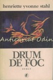 Cumpara ieftin Drum De Foc - Henriette Yvonne-Stahl, Roman, Editura Minerva, 1981, 336 pagini