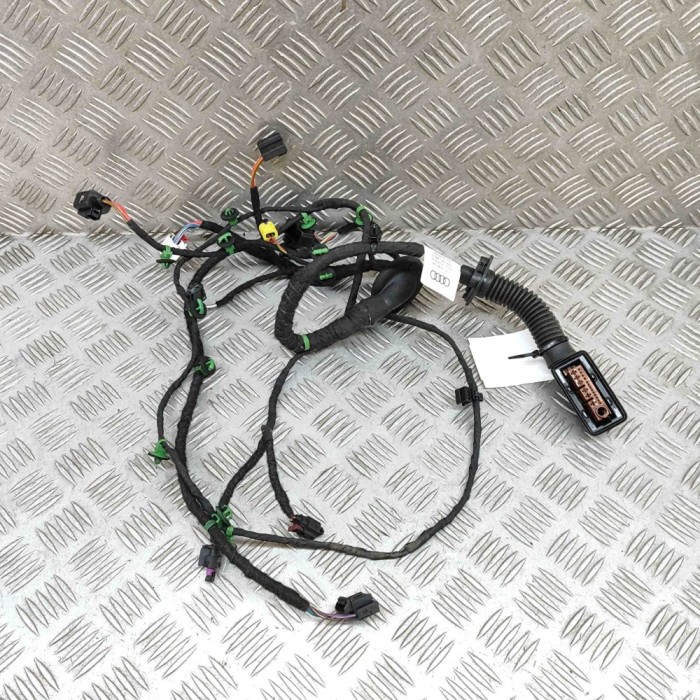 Cablaj ușă dreapta față AUDI E-TRON GT 2022 OEM: 4J3971029F 30763714