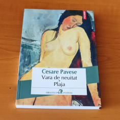 Cesare Pavese - Vara de neuitat. Plaja