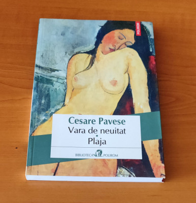 Cesare Pavese - Vara de neuitat. Plaja foto