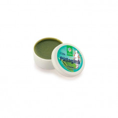 Crema Patlagina Santo Raphael 20gr