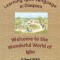 Learning Igbo Language in Diaspora: Welcome to the Wonderful World of Igbo