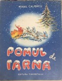 Pomul de iarna - Mihai Calmacu , cu ilustratii de Ion Popescu - Gopo