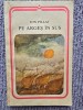 ION PILLAT - PE ARGES IN SUS (1984) 247 pagini, stare buna