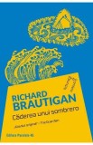 Caderea unui sombrero - Richard Brautigan