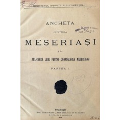 Ancheta cu privire la Meseriași, 1908