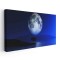 Tablou peisaj nocturn cu copac si luna Tablou canvas pe panza CU RAMA 40x80 cm