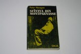 Sfantul din Montparnasse - Peter Neagoe