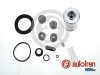 AUTOFREN SEINSA D42454C Set reparatie, etrier
