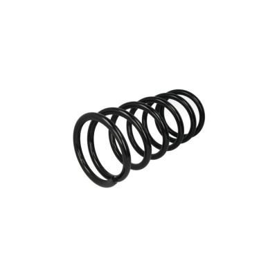 Arc spiral FIAT DUCATO platou sasiu 230 Magnum Technology foto