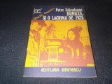 PETRE SALCUDEANU - BUNICUL SI O LACRIMA DE FATA